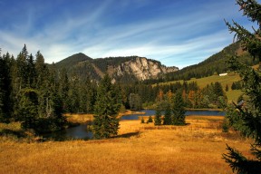 乐鱼体育登录-全黑队注重反击速度，进攻转换犀利致命，全黑队战舞