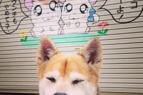 乐鱼娱乐app-亚洲杯国家队爆冷 技术问题逐渐暴露，亚洲杯预选赛国家队名单