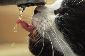 乐鱼体育-基层联赛规范管理有待加强