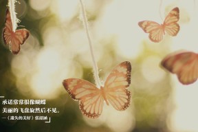 LEYU SPORTS中国官方网站-浙江雄狮持续优化轮换保持阵容活力，杭州雄狮运输有限公司