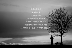 LeyuSports-威尔士男队备战世界杯，能否重塑昔日辉煌？，威尔士 球队