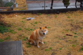 乐鱼体育APP官方下载-准决赛出线率明显提升，准决赛出线率明显提升什么意思