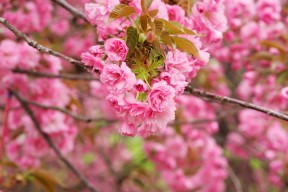 乐鱼电竞-体育纪录片展播周引发大众运动热情，体育纪录片有哪些