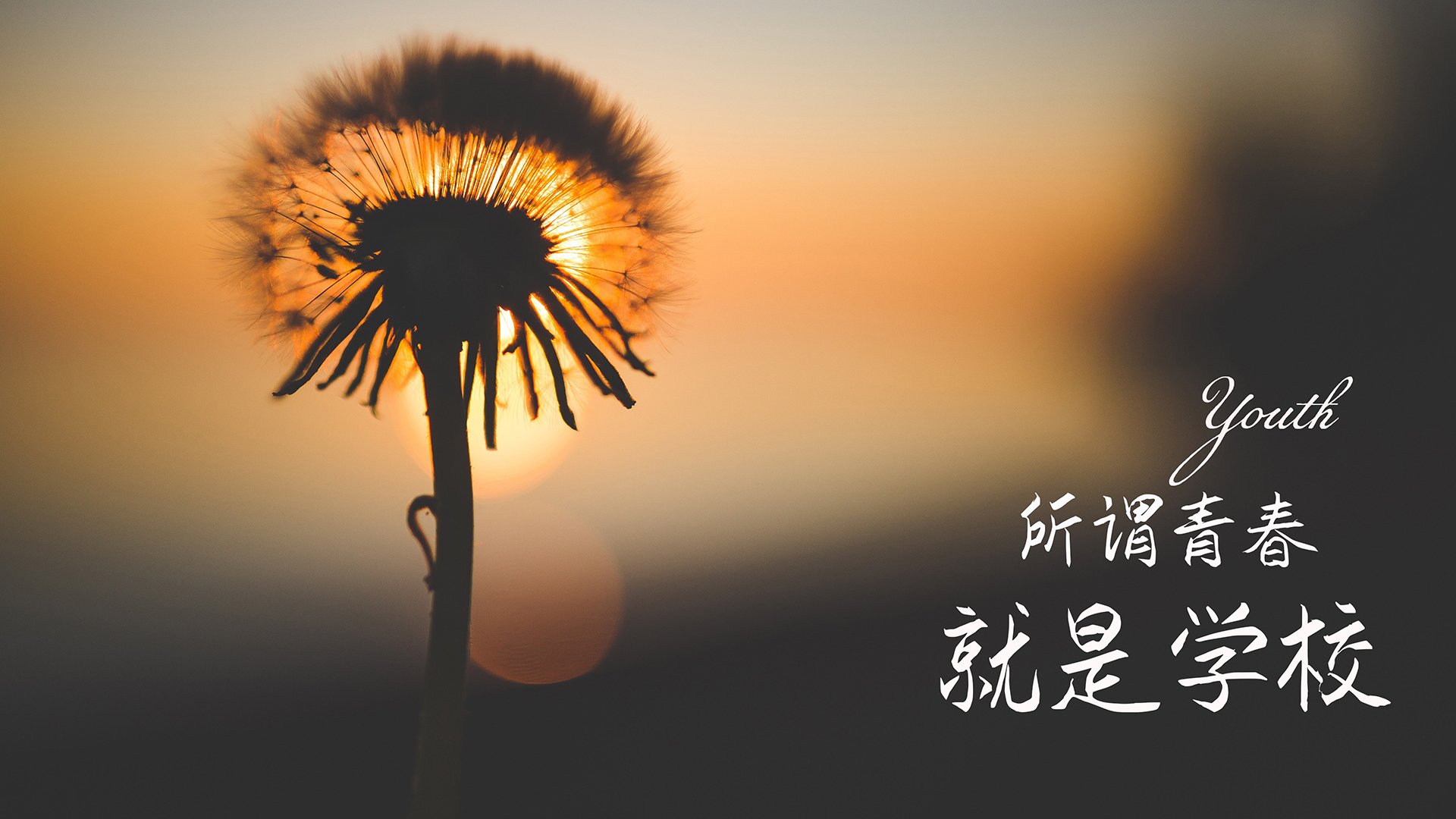 西甲青训营教练员换位体验提升术科教学效率，西甲各队主教练