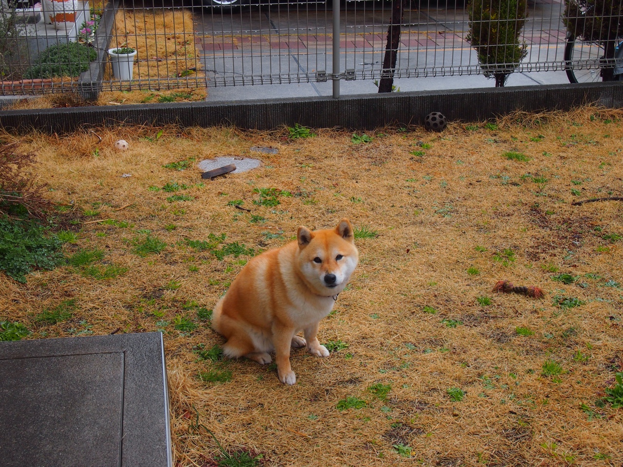 东亚杯中国女足爆冷 球员状态明显下滑,东亚杯中国女足爆冷 球员状态明显下滑的原因