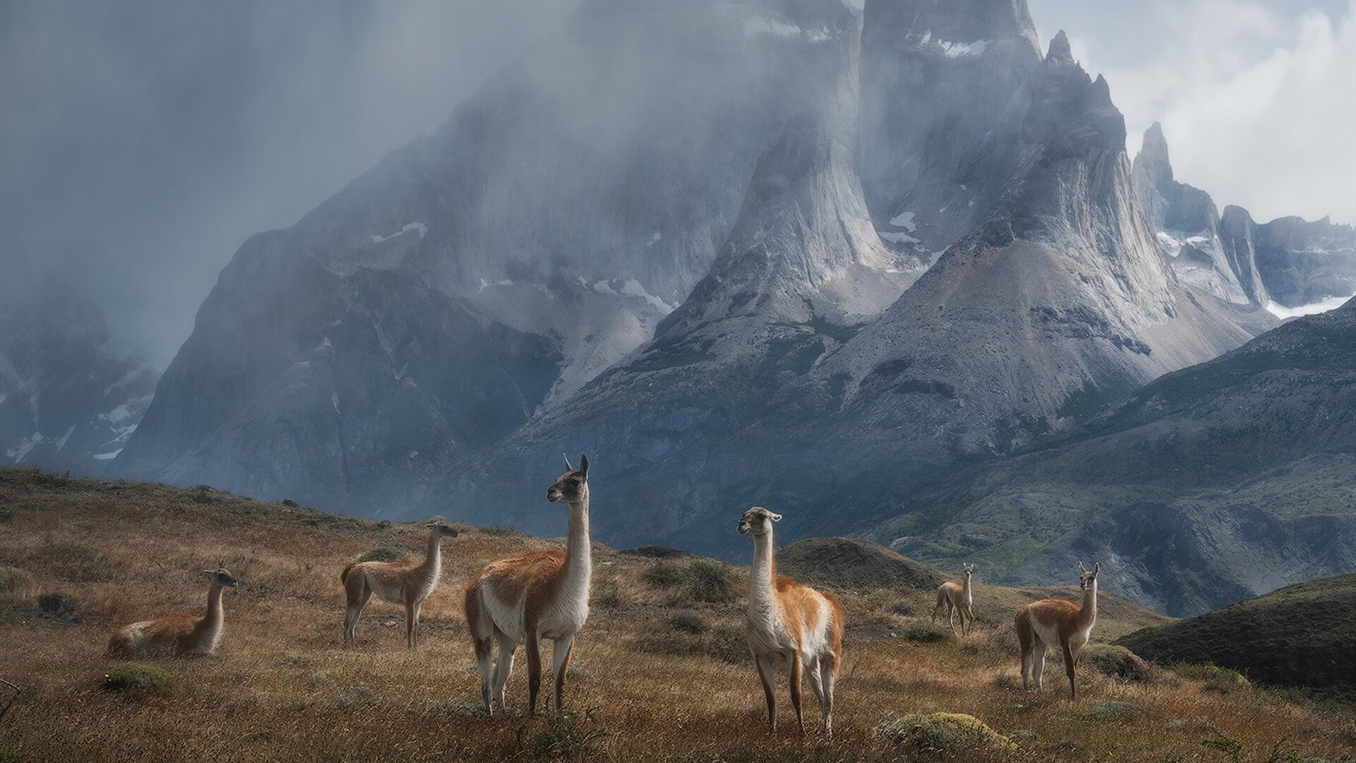 中国三人女篮调整阵容 战术布局更加灵活,中国女篮三人篮球最新名单