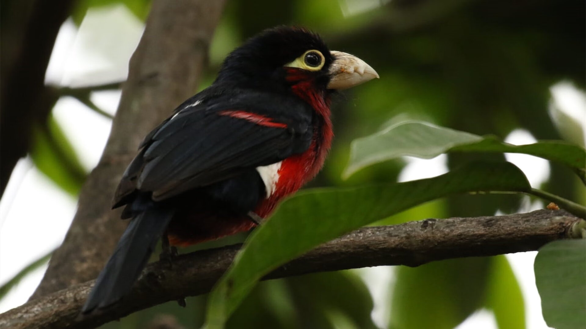 基层联赛规范管理有待加强