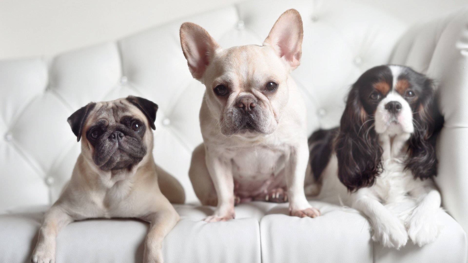 外教技术体系缺乏本地化转译机制,外教技术体系缺乏本地化转译机制怎么办