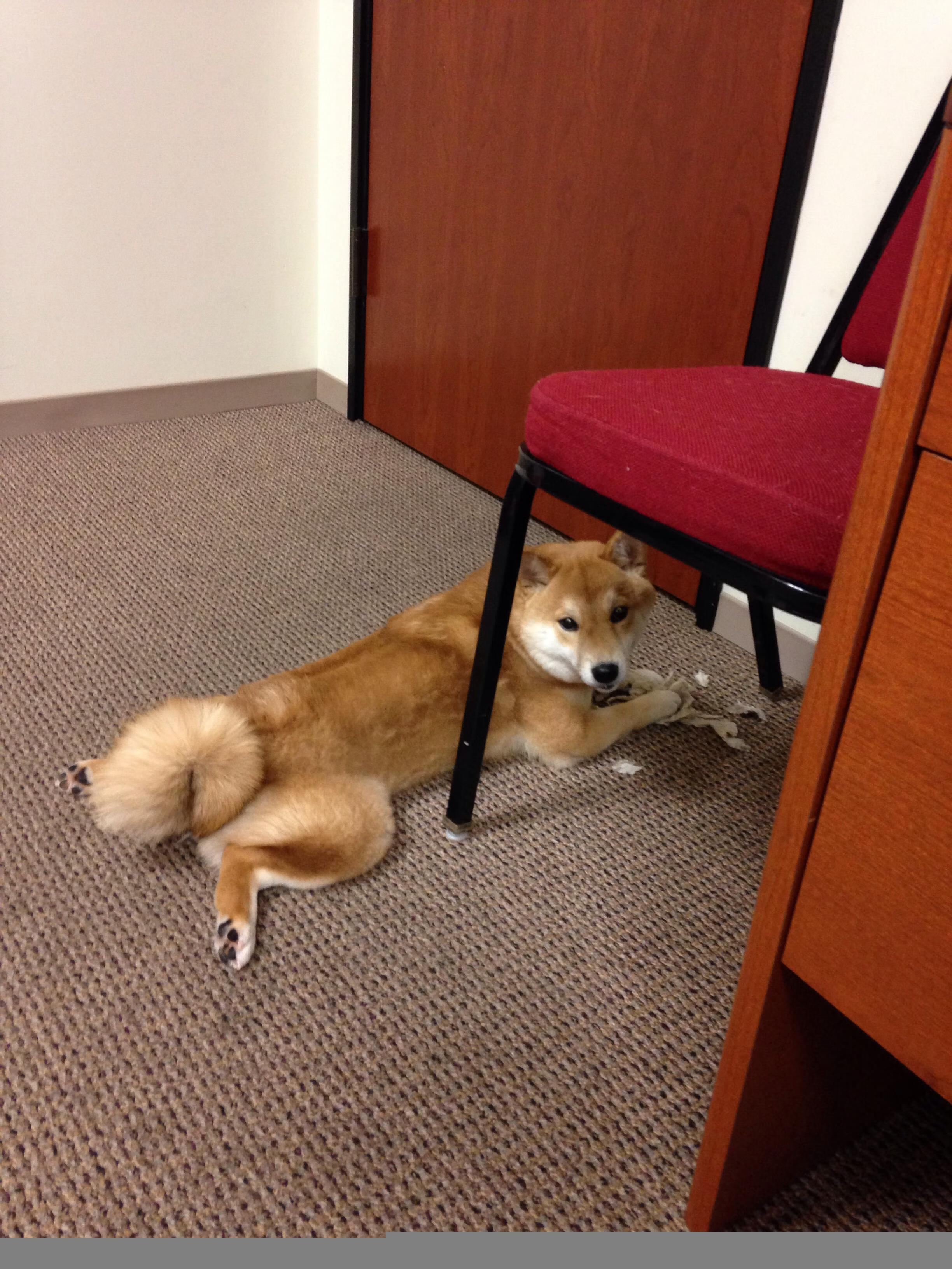 心理素质决定胜负的关键瞬间,心理素质重要