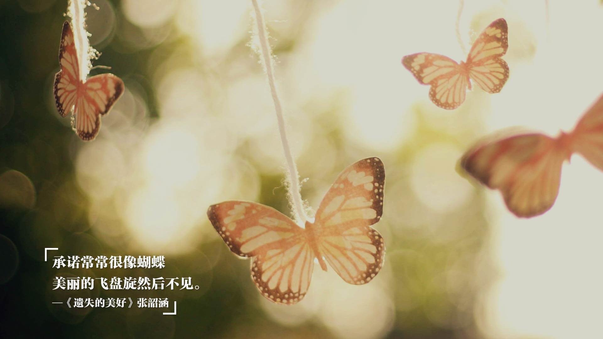 浙江雄狮持续优化轮换保持阵容活力,杭州雄狮运输有限公司