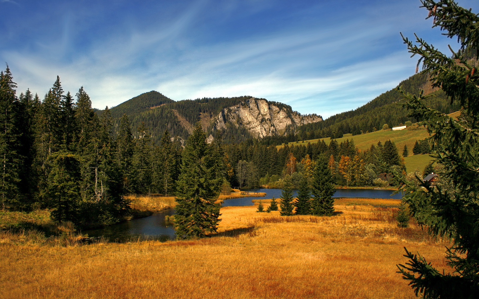全黑队注重反击速度,进攻转换犀利致命,全黑队战舞