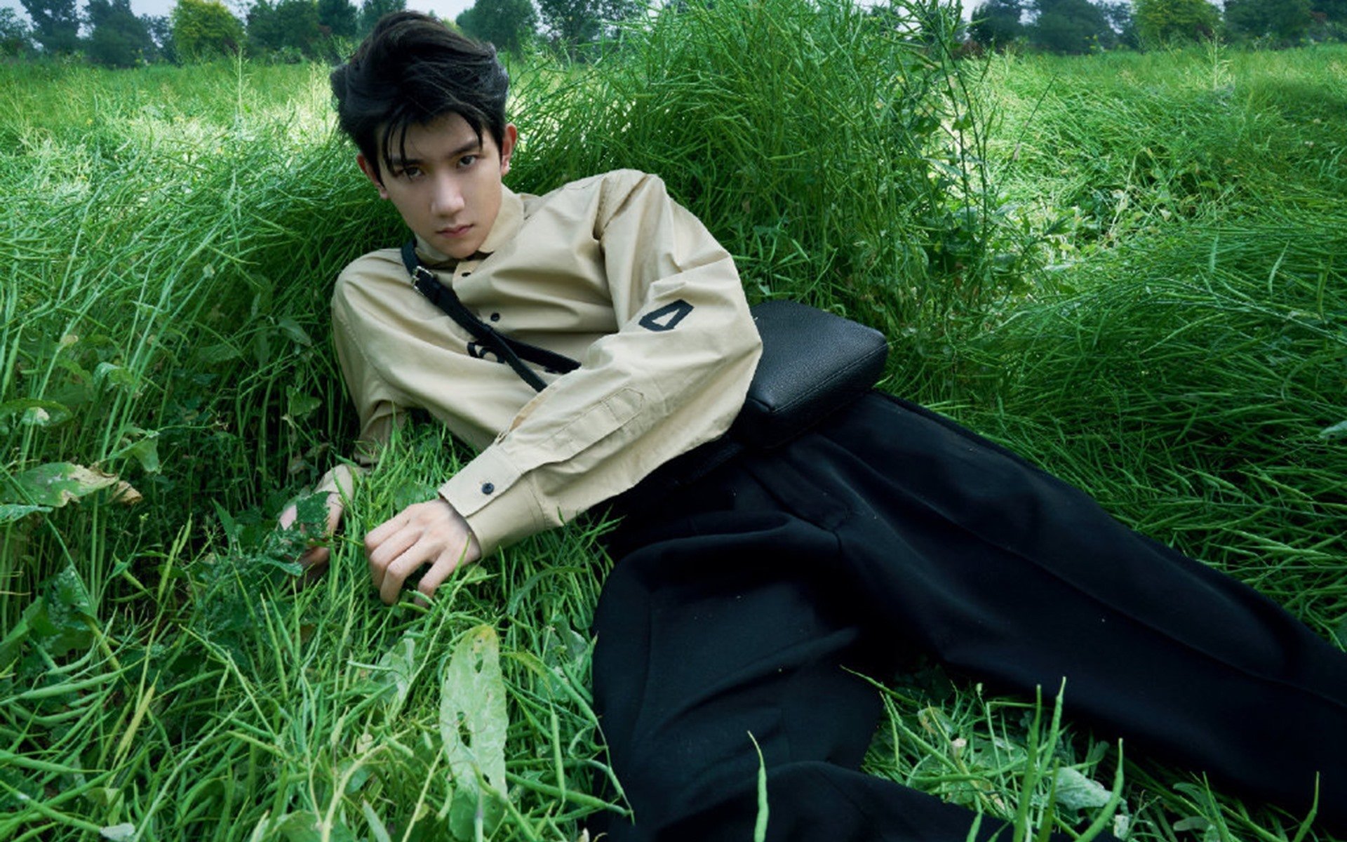 希腊女篮在欧洲锦标赛中再夺冠军,荣耀续航火炬,希腊男篮欧锦赛