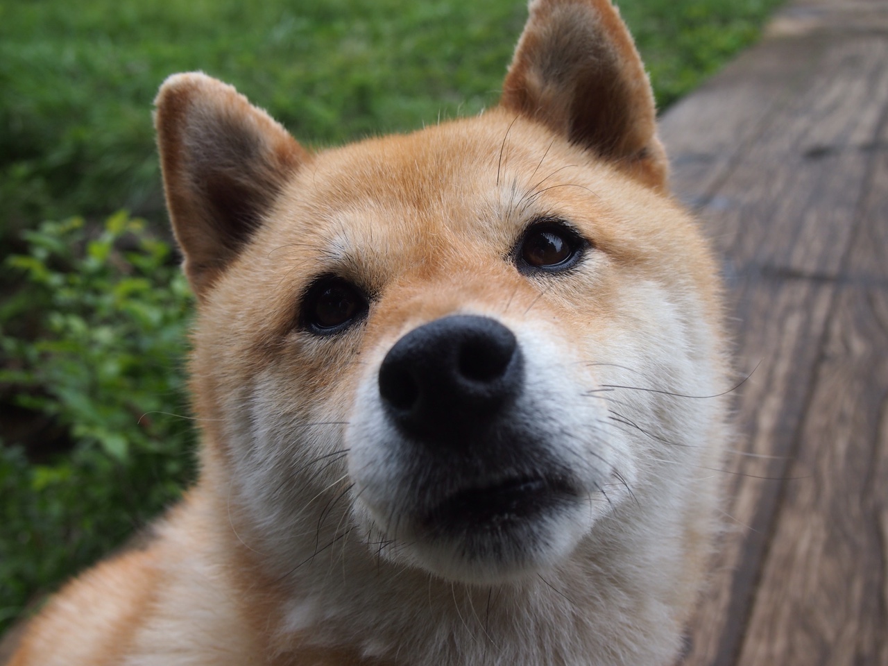 水球比赛吉尔吉斯斯坦防守坚固，吉尔吉斯斯坦足球水平